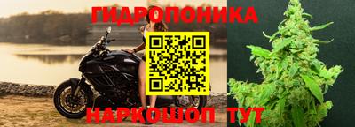 mix Будённовск