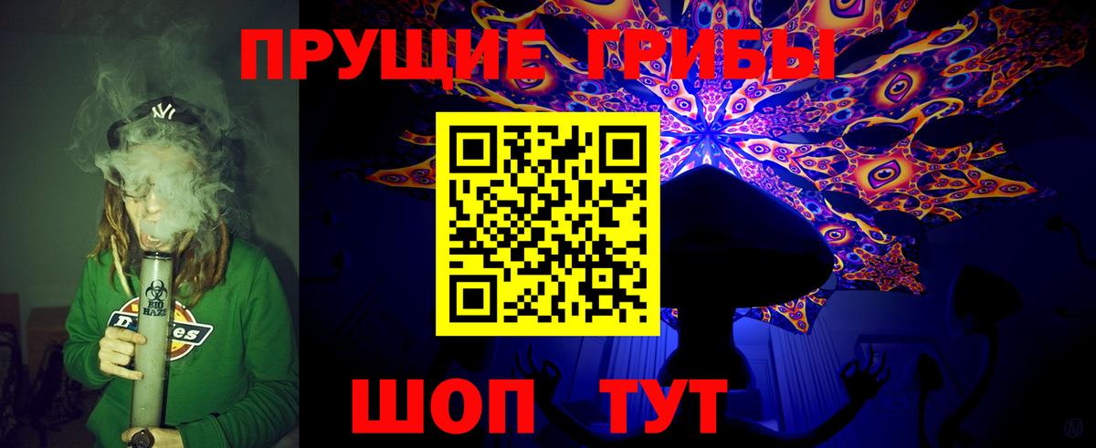 Псилоцибиновые грибы Cubensis Ишим