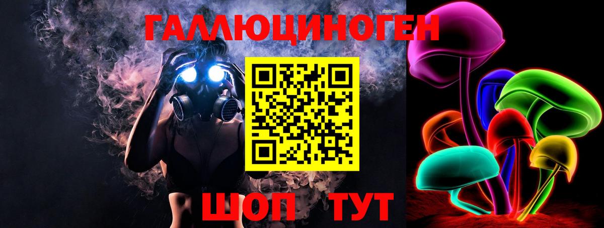 Ишим  Галлюциногенные грибы прущие грибы  купить  цена  Вход с VPN  Псилоцибиновые грибы Psilocybe 